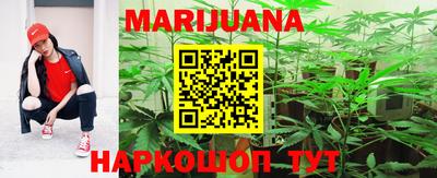 сатива Ливны