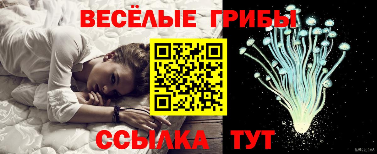 Псилоцибиновые грибы Psilocybe  Псилоцибиновые грибы MAGIC MUSHROOMS  Вход с VPN  Верхняя Пышма 